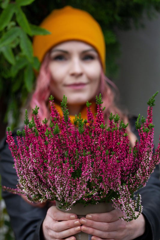 KiOma Lemp&auml; aikuisten merinovillapipo, sinappi